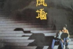 风墙电视剧在线观看,揭秘风暴中的生死较量，在线观看震撼来袭！