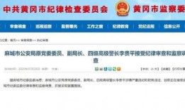 保定市头条爆料案件最新,惊曝重大案件，案情细节引发社会关注！