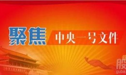 中国三农热点爆料新闻,热点爆料揭示农业发展新动向