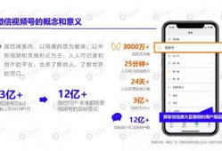 宠物黑料爆料视频大全下载