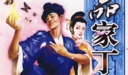 极品家丁在线观看,笑料百出，宫廷奇遇记