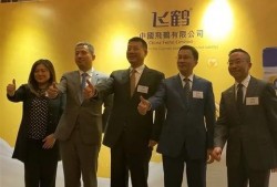 飞鹤最新爆料新闻视频大全,揭秘视频大全背后的真相与内幕