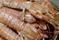 皮皮虾网红吃瓜视频大全,揭秘娱乐圈幕后故事