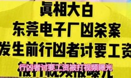 东莞工厂王先生爆料视频,王先生爆料视频曝光惊人内幕