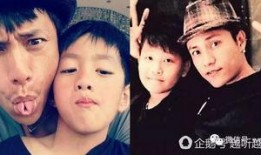 李琛儿子爆料了吗视频全集,揭秘家庭背后故事