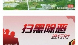 飞鹤最新爆料新闻视频大全,揭秘视频大全背后的真相与内幕