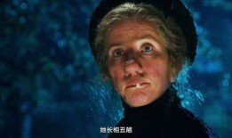 魔法保姆麦克菲在线观看,魔法魅力，育儿智慧