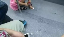 成都小女孩爆料视频播放,揭秘校园生活点滴