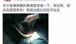 黄鳝门在线观看下载,揭秘网络奇观，在线观看下载背后的故事