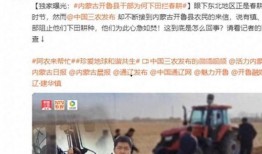 公平镇最新爆料新闻报道,揭秘背后惊人真相