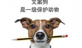 二狗爆料内容整理视频,视频内容深度解析