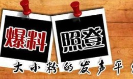 重庆微头条最新爆料,揭秘XX事件背后真相！