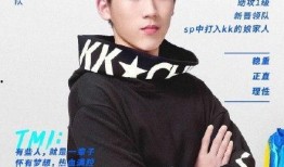王霖团队kk的最新爆料,揭秘kk最新动态与幕后故事