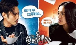 离婚离婚律师在线观看,揭秘婚姻破裂背后的法律智慧