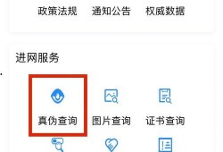 大良新闻爆料电话查询,揭秘本地热点事件，倾听民声
