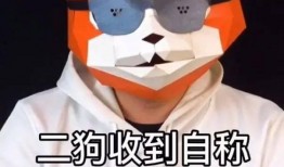 嘎子爆料圈内容,娱乐圈幕后故事大曝光