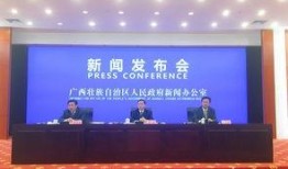 番禺大石新闻爆料电话,揭秘社区动态，倾听民声心声
