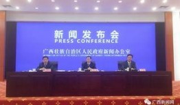 番禺大石新闻爆料电话,揭秘社区动态，倾听民声心声