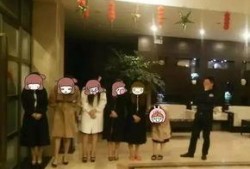 公安机关新闻爆料电话是多少,公安机关新闻爆料电话，守护平安的桥梁”