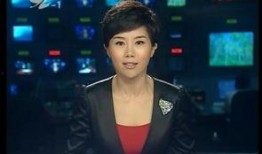 江苏卫视新闻爆料电话,揭秘幕后真相