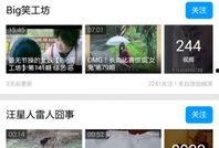 爆料好玩视频下载安装最新版,好玩视频下载神器，最新版安装攻略大公开！